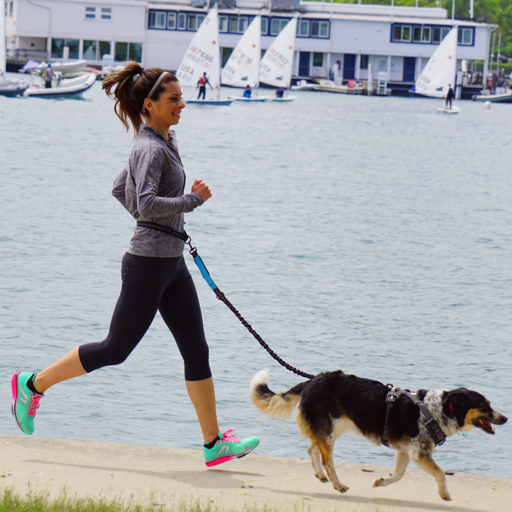 Hand Free Dog Leash for Pet Wa – Running Jogging Gear recenzja i cena