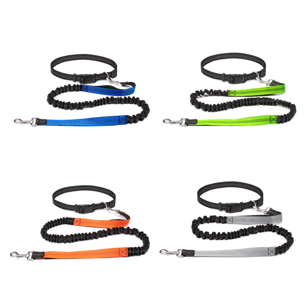 Hand Free Dog Leash for Pet Wa – Running Jogging Gear recenzja i cena