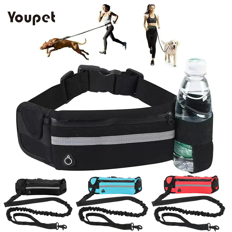Dog Running Waist Leash Nylon  – Running Gear Belt recenzja i cena