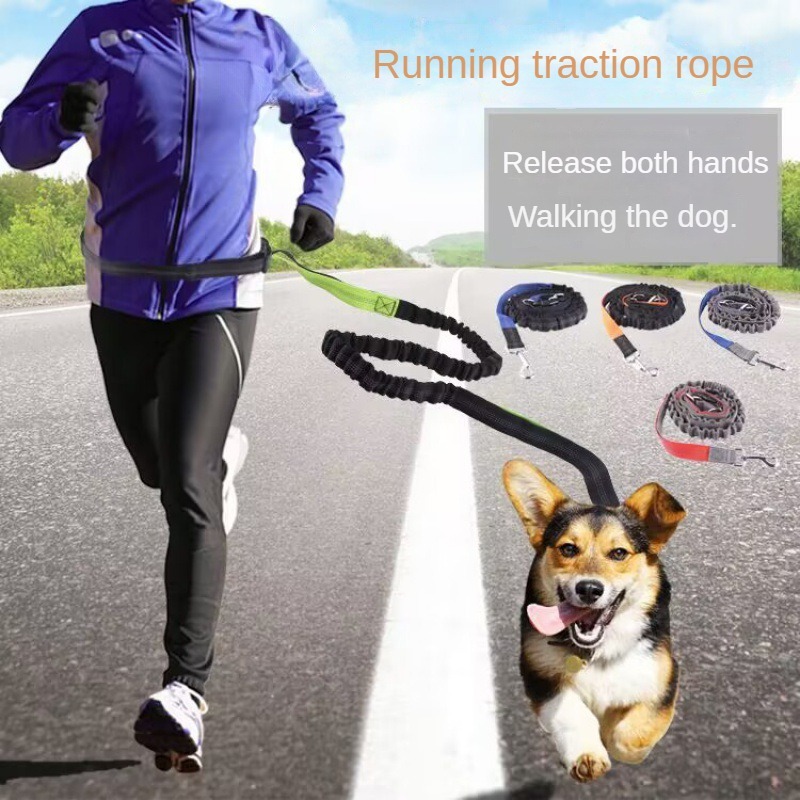 Hand Free Dog Leash for Pet Wa – Running Jogging Gear recenzja i cena