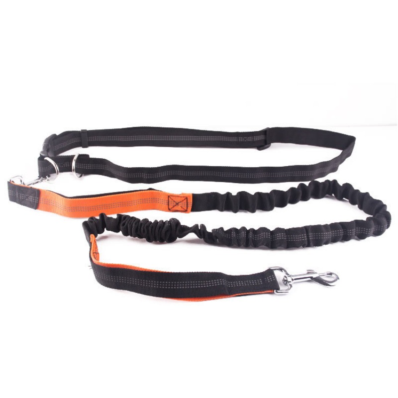 Hand Free Dog Leash for Pet Wa – Running Jogging Gear recenzja i cena