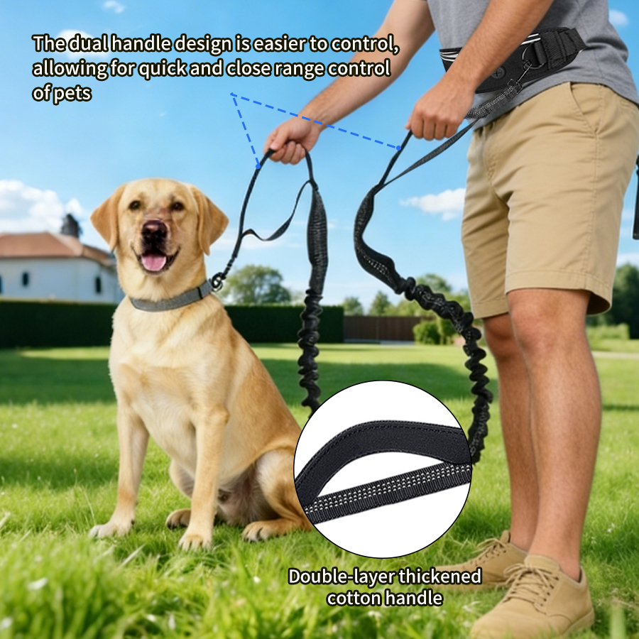 Foldable Reflective Dog Leash  – Running Gear Belt recenzja i cena